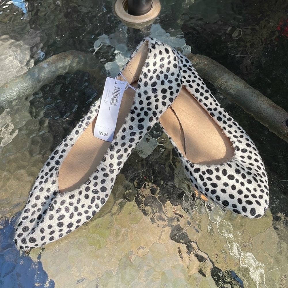 Slipper Shoe